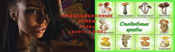 бутират Ельня
