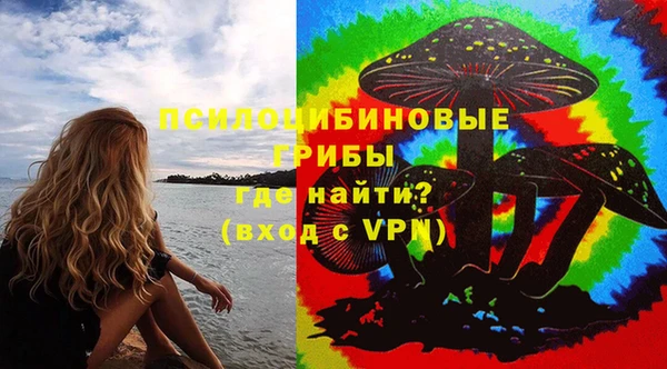 mdpv Елабуга
