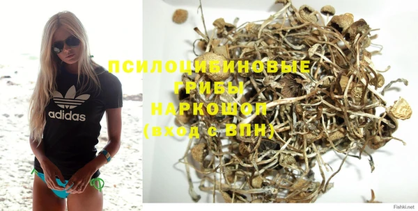 mdpv Елизово