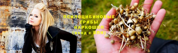 mdpv Елизово